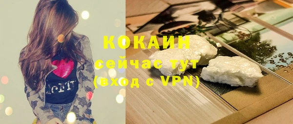 дживик Аркадак